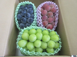 ピオーネ＆クインニーナ＆シャインマスカット